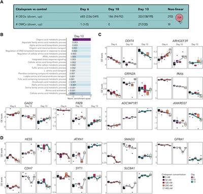 Citalopram exposure of hESCs during neuronal differentiation identifies dysregulated genes involved in neurodevelopment and depression